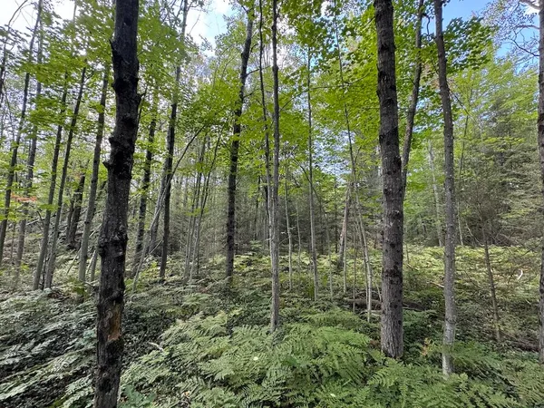 $379,900 | 5490 South Harrison Road, Houghton Lake, MI 48629
