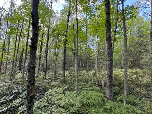 $379,900 | 5490 South Harrison Road, Houghton Lake, MI 48629