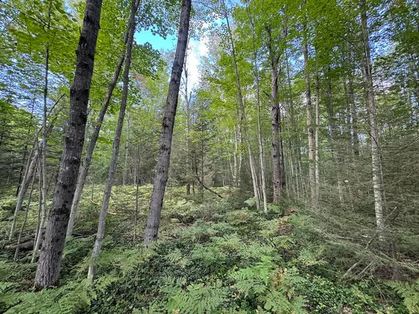 $379,900 | 5490 South Harrison Road, Houghton Lake, MI 48629