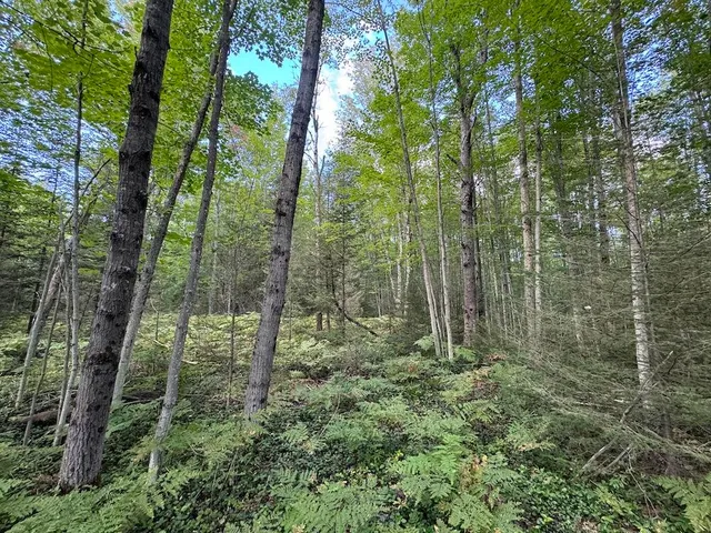 $379,900 | 5490 South Harrison Road, Houghton Lake, MI 48629