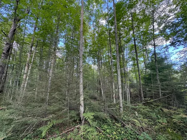$379,900 | 5490 South Harrison Road, Houghton Lake, MI 48629