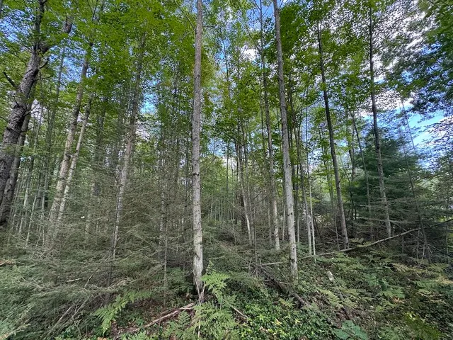 $379,900 | 5490 South Harrison Road, Houghton Lake, MI 48629