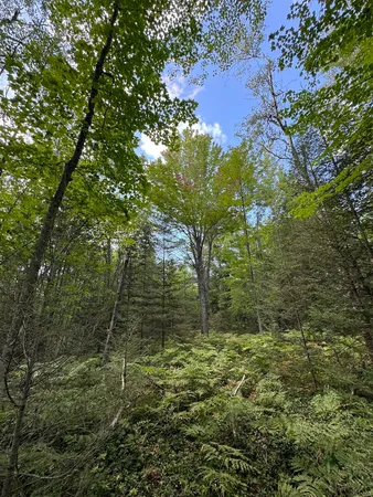 $379,900 | 5490 South Harrison Road, Houghton Lake, MI 48629