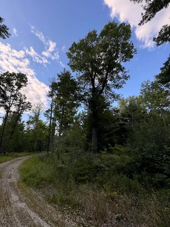 $379,900 | 5490 South Harrison Road, Houghton Lake, MI 48629