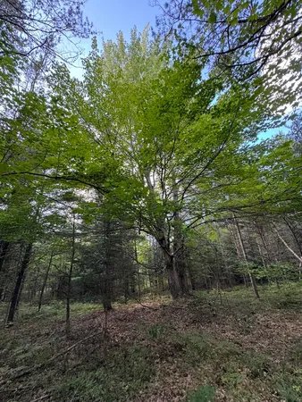 $379,900 | 5490 South Harrison Road, Houghton Lake, MI 48629