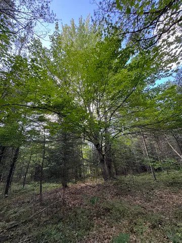 $379,900 | 5490 South Harrison Road, Houghton Lake, MI 48629