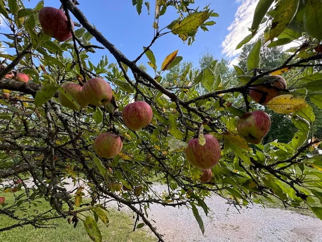 $379,900 | 5490 South Harrison Road, Houghton Lake, MI 48629