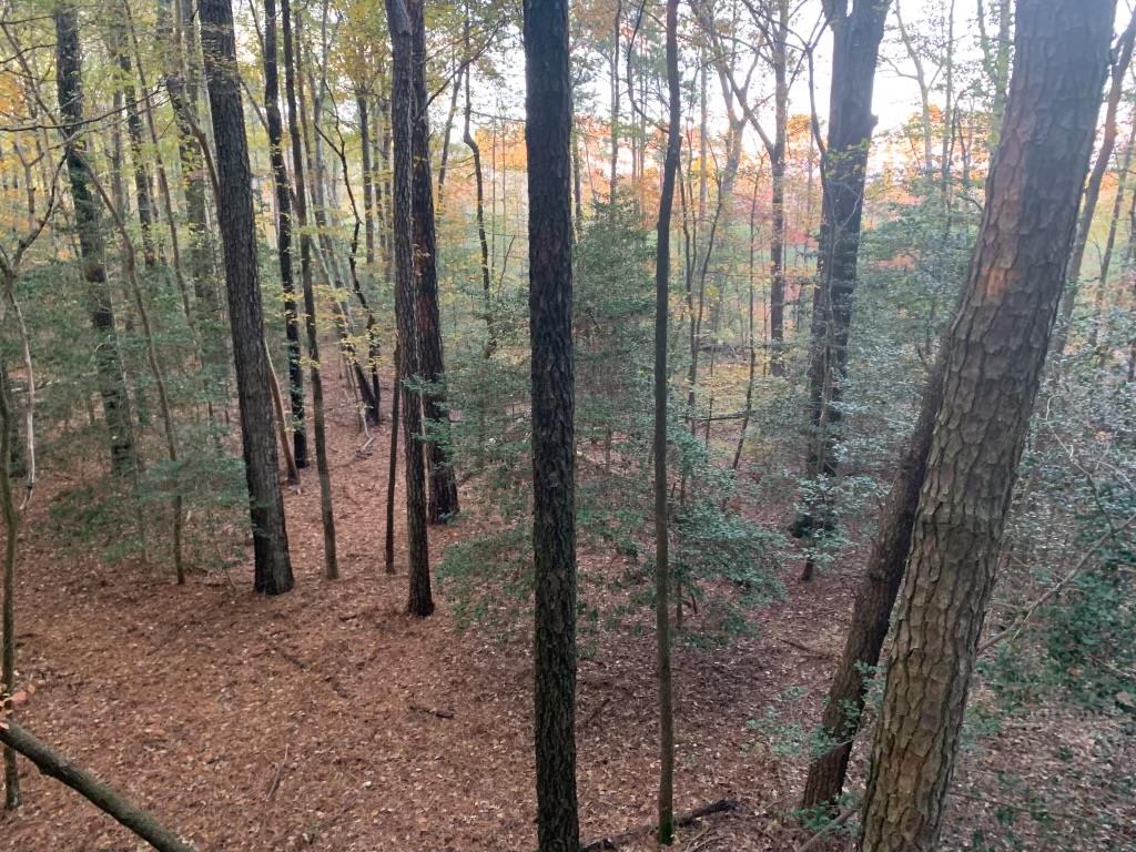 11.770 Daugherty Road Onancock, VA 23417 - Photo 1 of 13