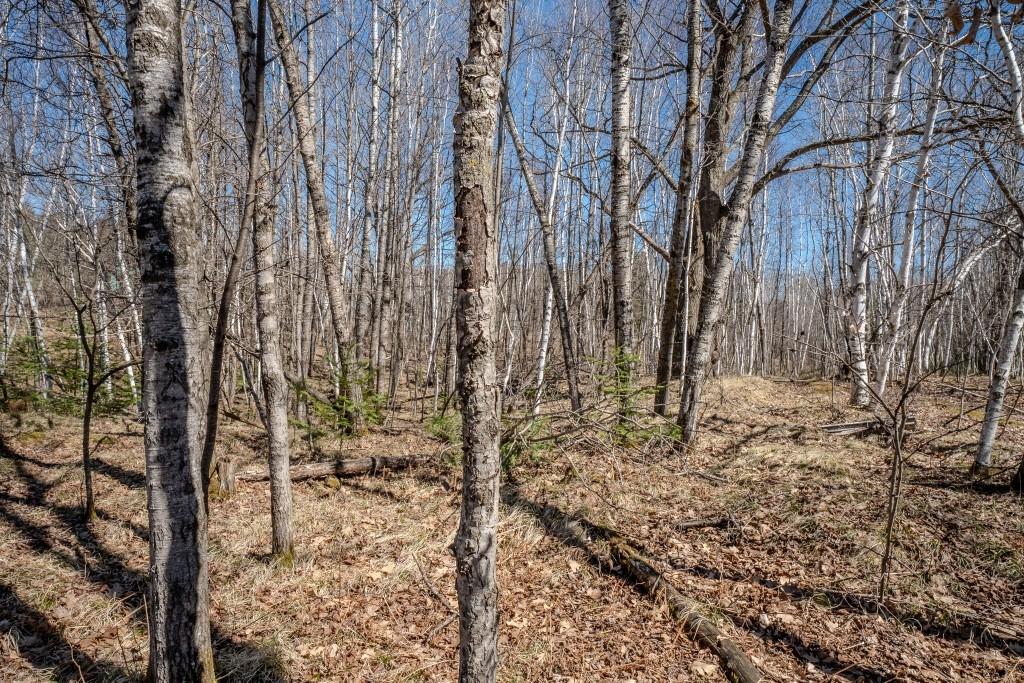 N10688 Tomptabo Road Gleason, WI 54435 - Photo 31 of 31 Gallery Image 31