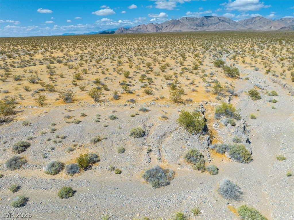 0 Ottawa Street Sandy Valley, NV 89019 - Photo 31 of 49