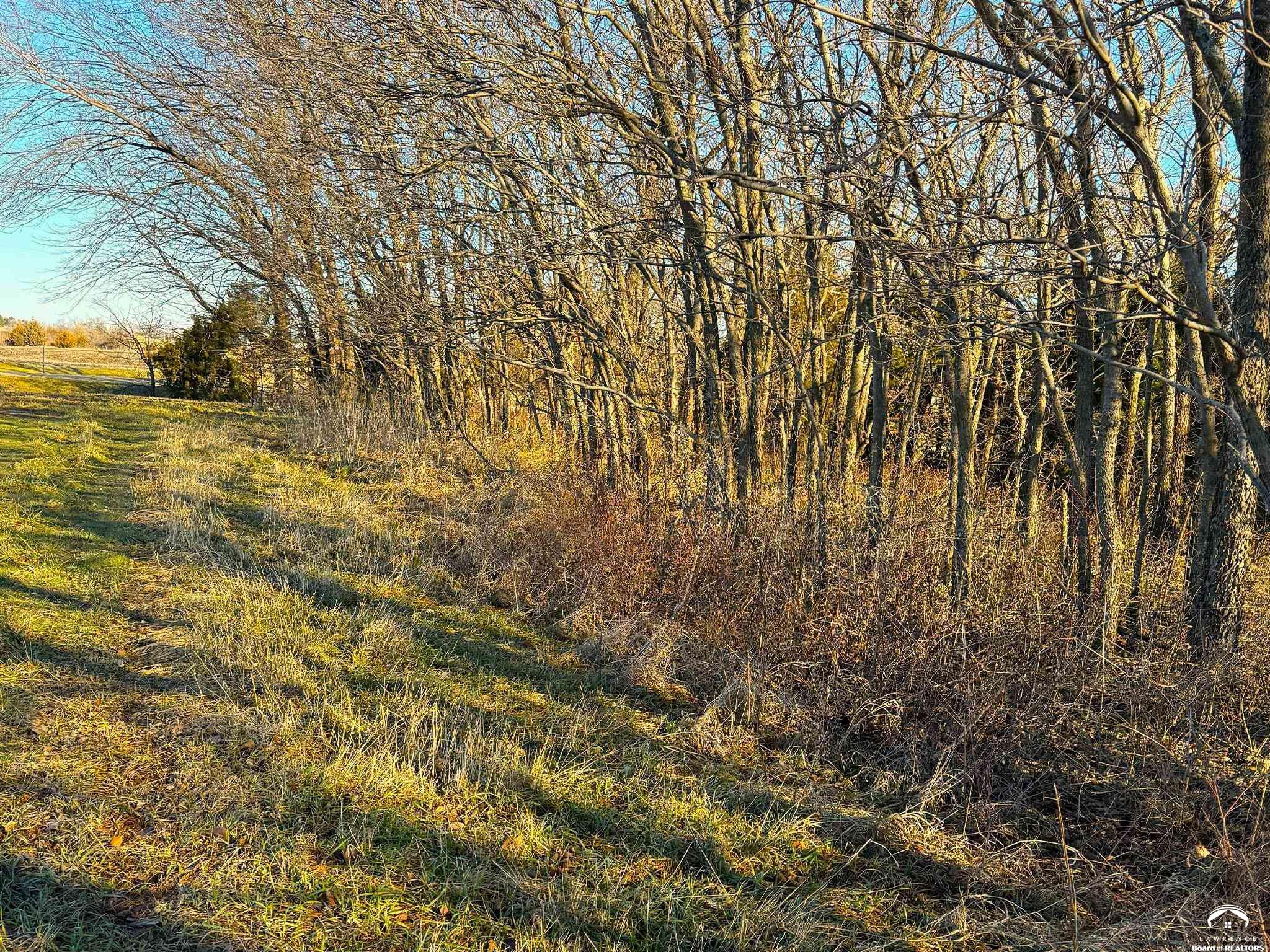 645 North 900 Road Lawrence, KS 66047 - Photo 13 of 21