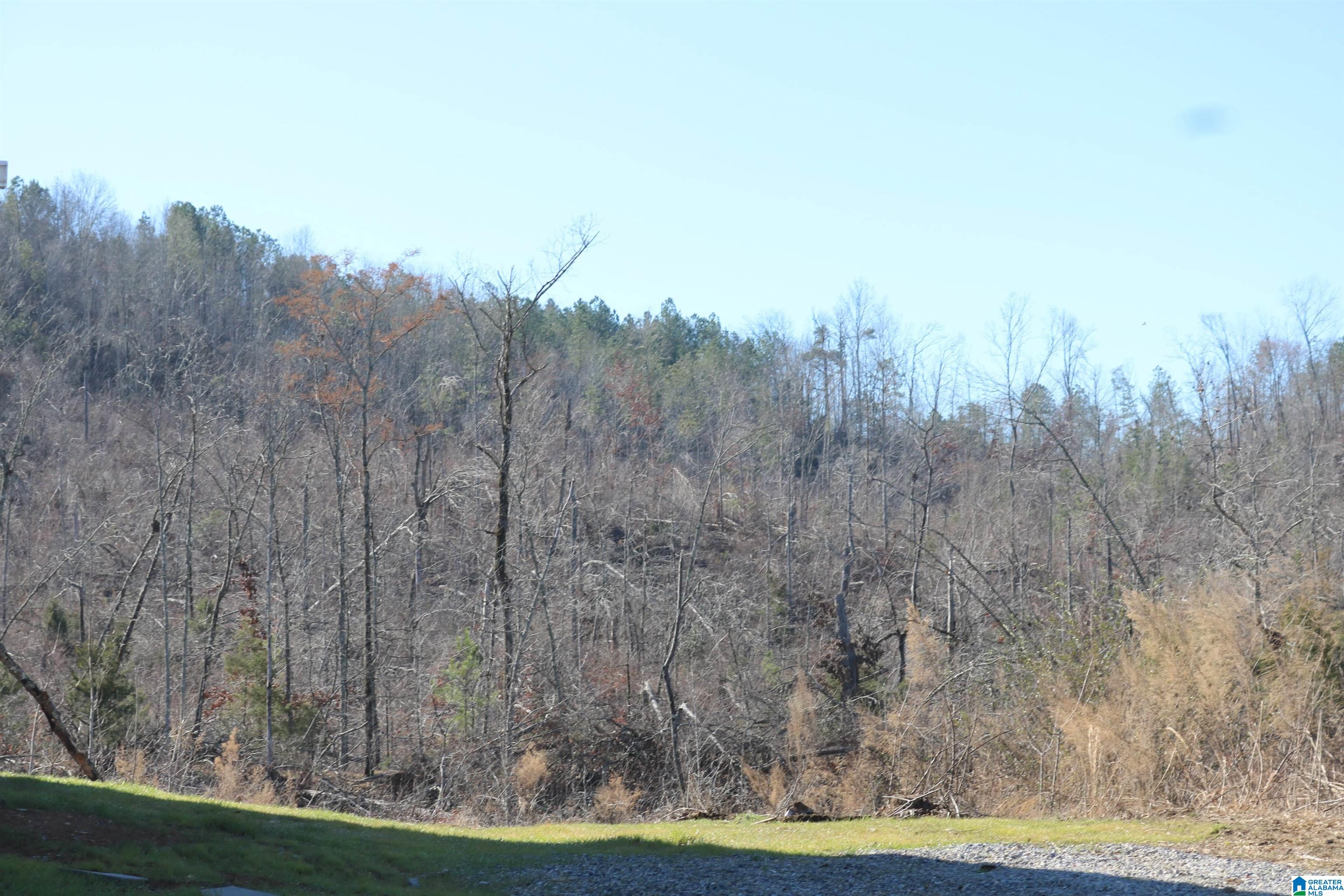 400 3 Cedars Road Ohatchee, AL 36271 - Photo 42 of 44