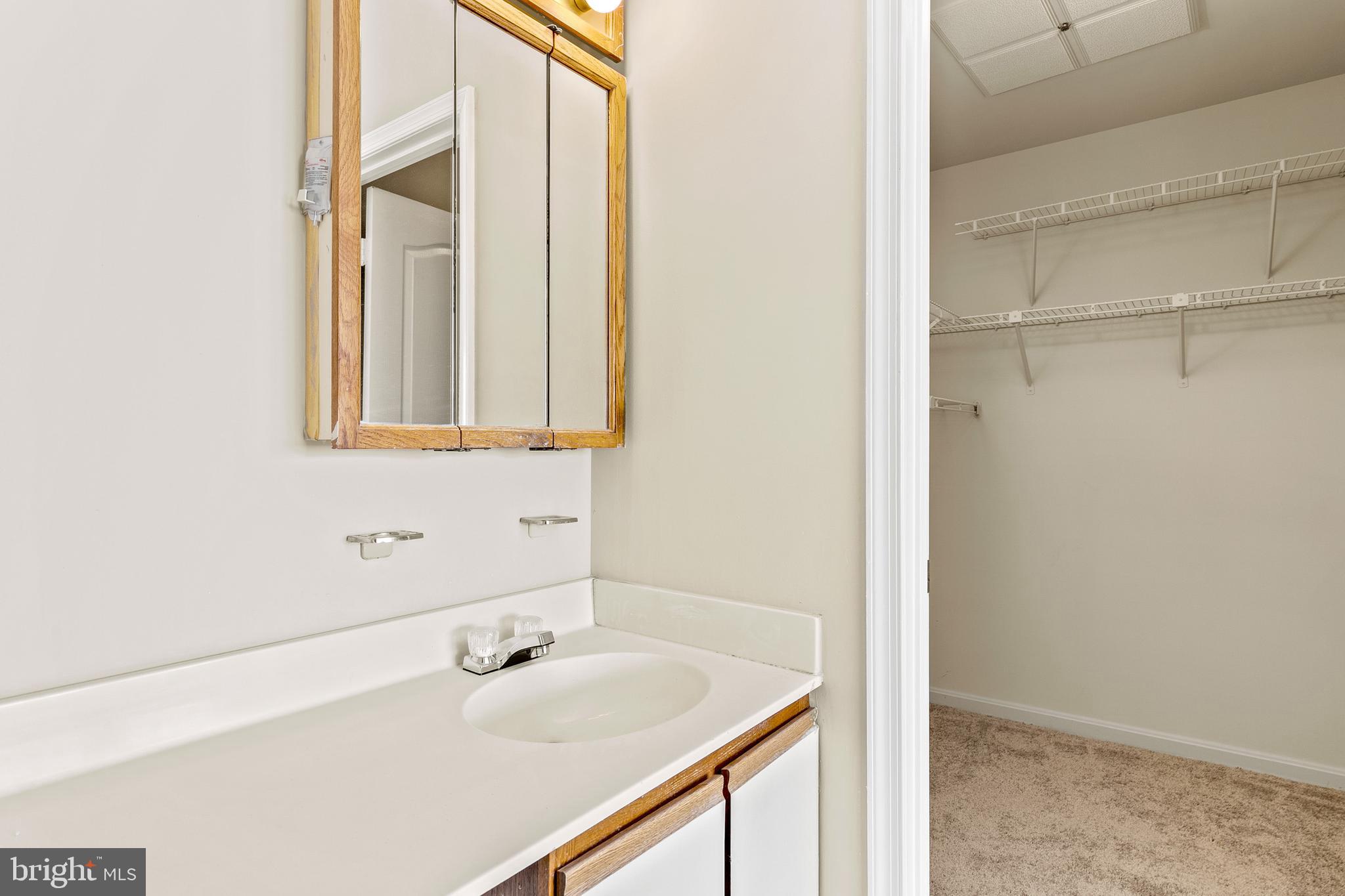8513 Falls Run Road, Unit L Ellicott City, MD 21043 - Photo 19 of 28 Primary Bathroom Vanity to WIC