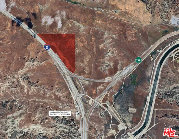 a close up of a tree