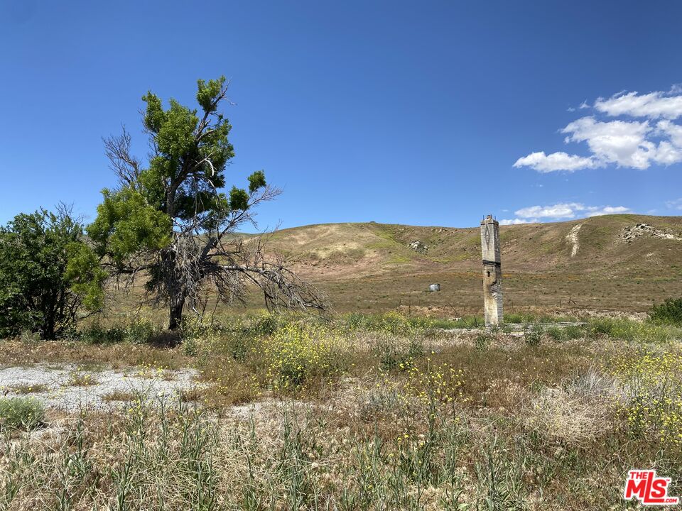 47330 Zenobia Road Lebec, CA 93243 - Photo 4 of 4 a view of lake