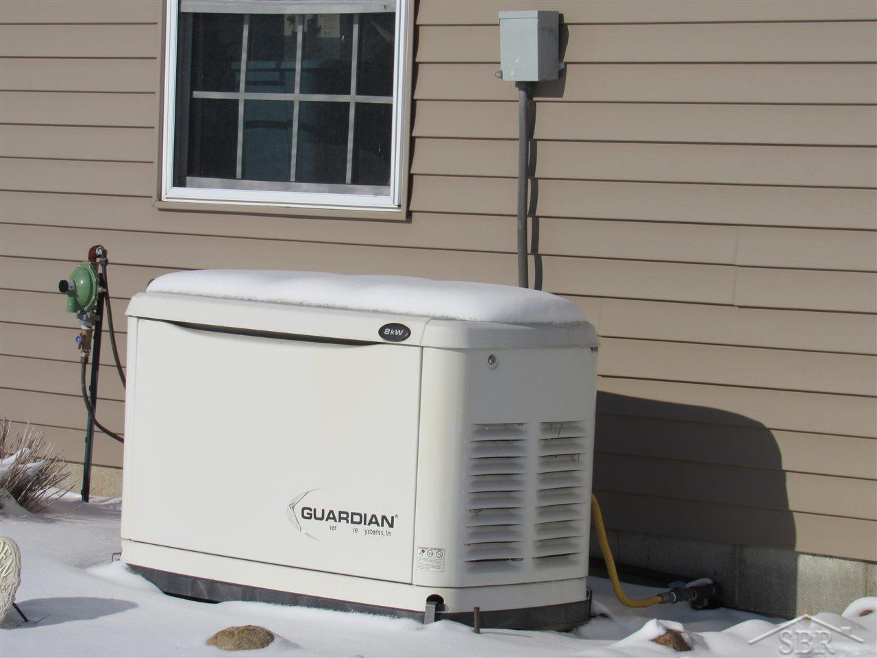 15610 Stuart Road Chesaning, MI 48616 - Photo 34 of 35 Generator