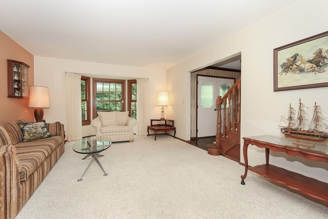 42W930 McDonald Road Elgin, IL 60124 - Photo 2 of 20 a living room with furniture and a potted plant