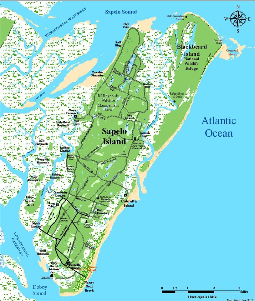 1871 East Perimeter Road Southeast Sapelo Island, GA 31327 - Photo 16 of 17