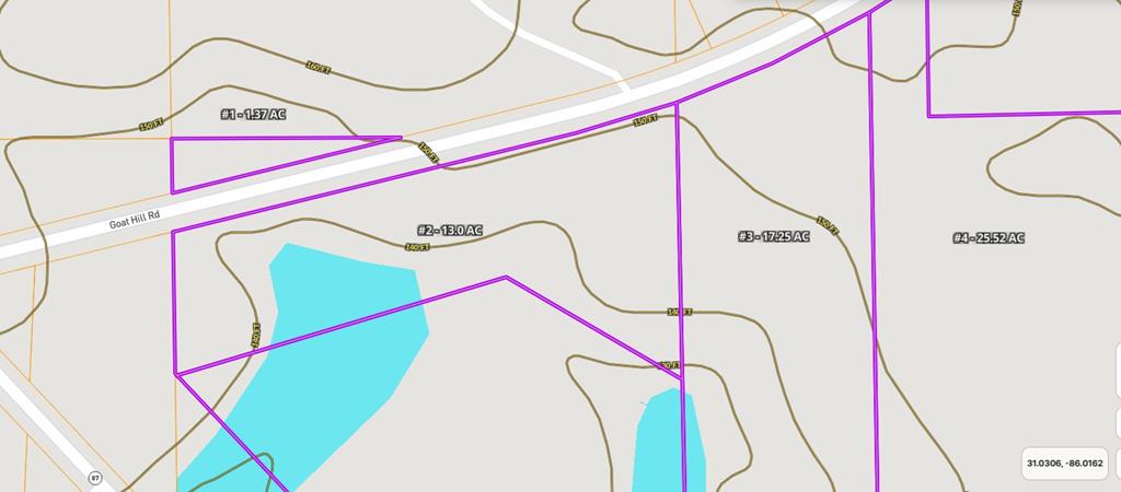 13-acres Goat Hill Road Samson, AL 36477 - Photo 15 of 19