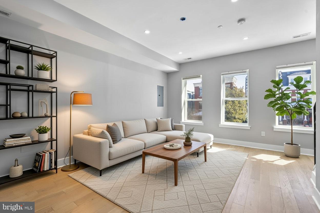 3572 13th Street Northwest, Unit 2 Washington, DC 20010 - Photo 3 of 36 a living room with furniture and a potted plant