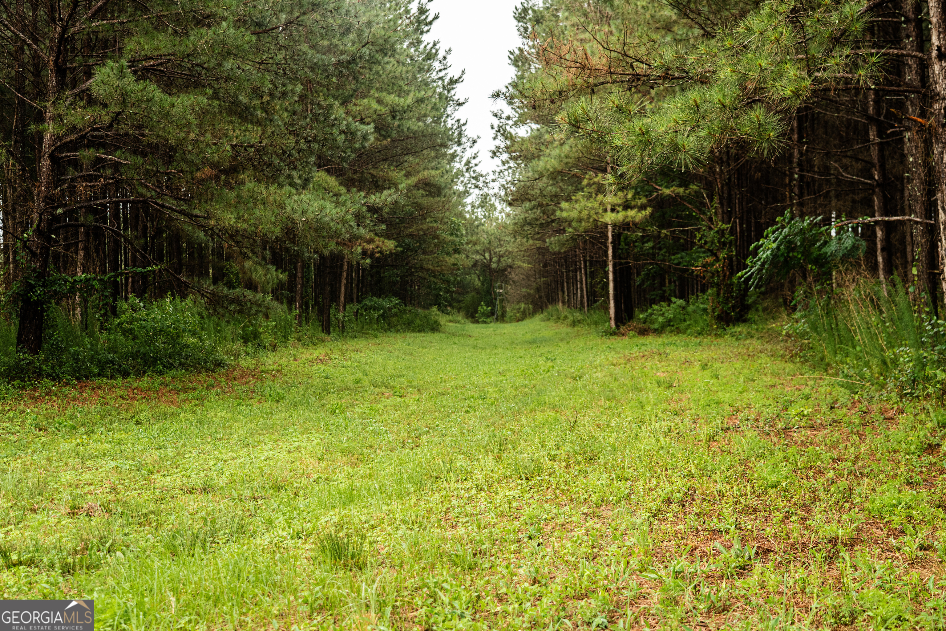 990 Highway 49 Americus, GA 31719 - Photo 8 of 121