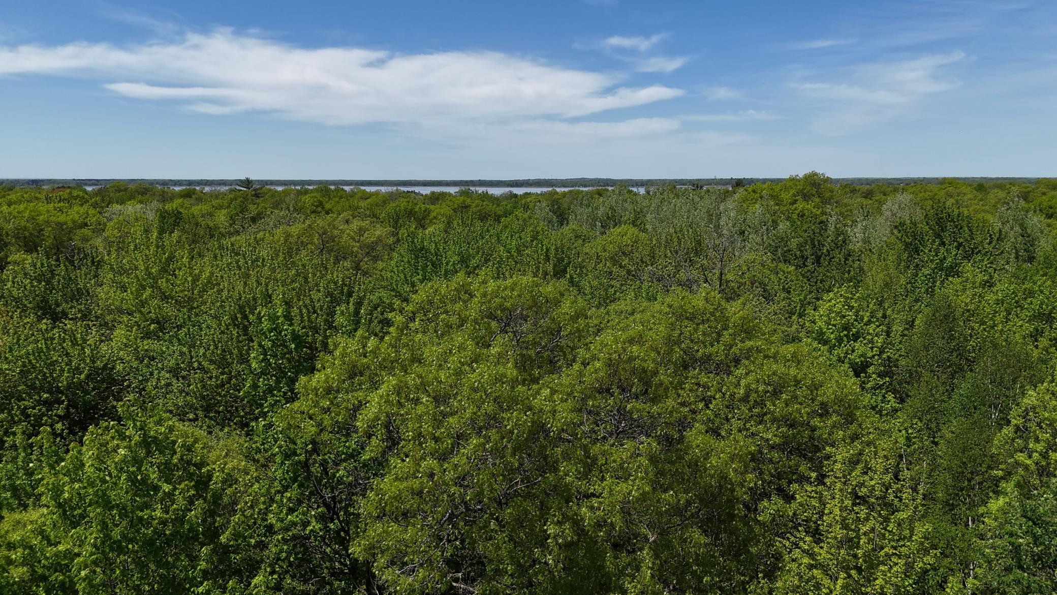 12913 Dobbins Road Merrifield, MN 56465 - Photo 61 of 63