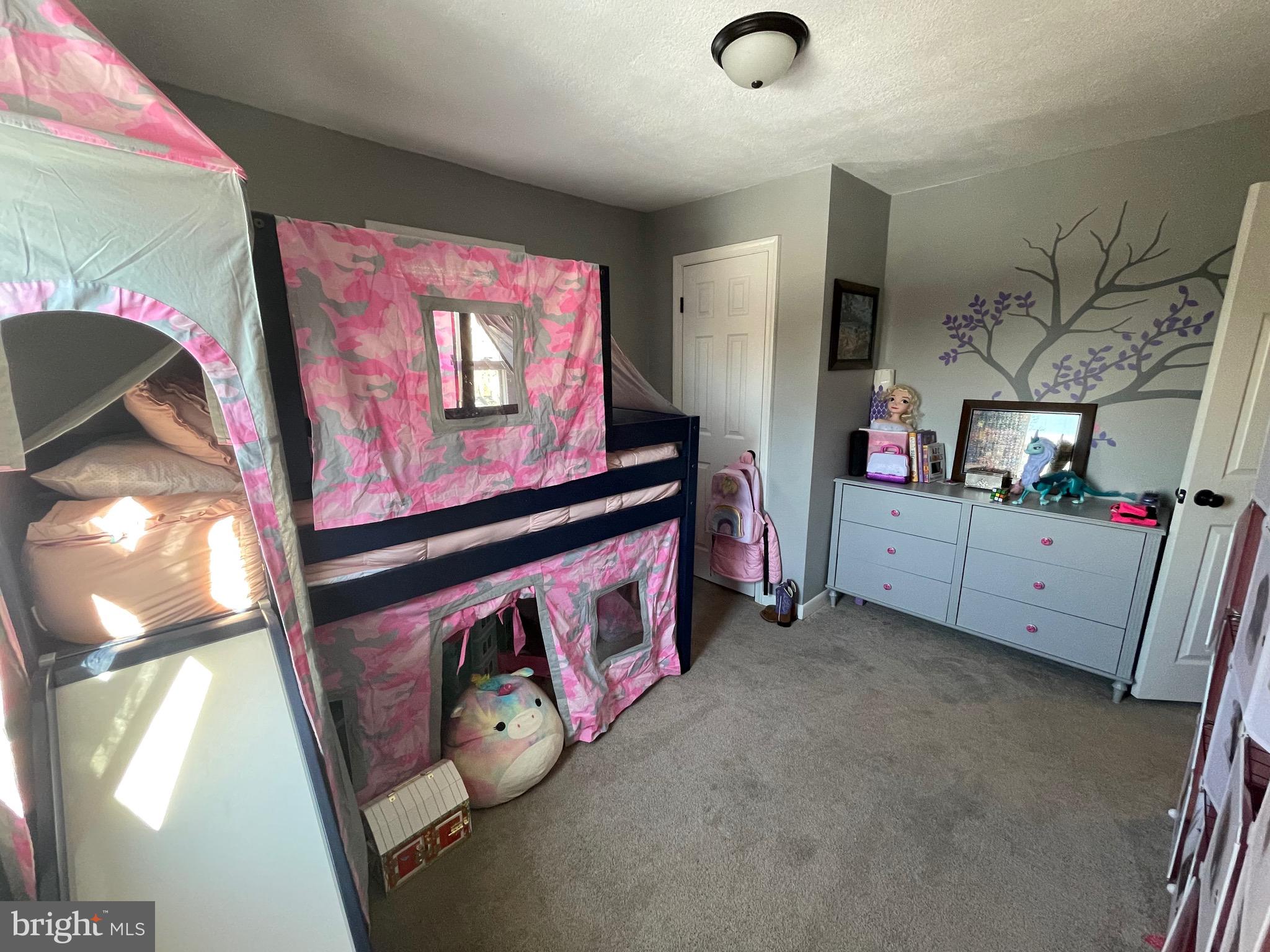 1410 Fleming Park Road Mount Jackson, VA 22842 - Photo 11 of 28