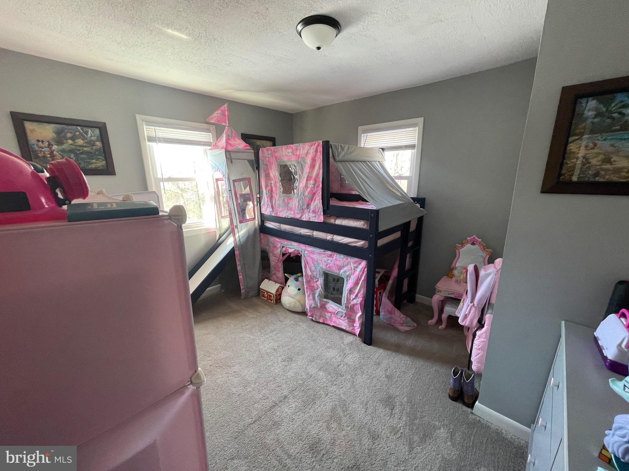 1410 Fleming Park Road Mount Jackson, VA 22842 - Photo 12 of 28