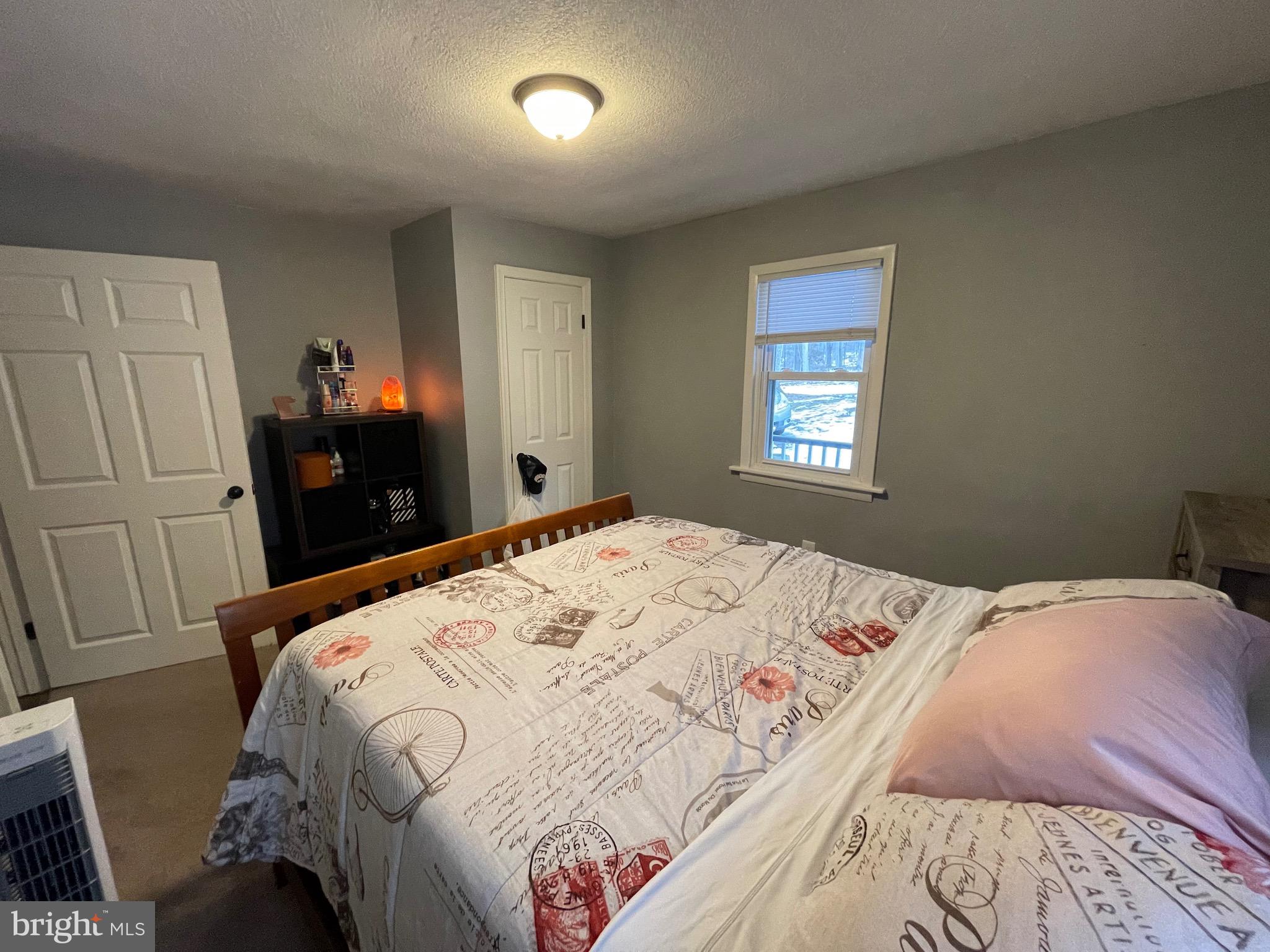 1410 Fleming Park Road Mount Jackson, VA 22842 - Photo 4 of 28