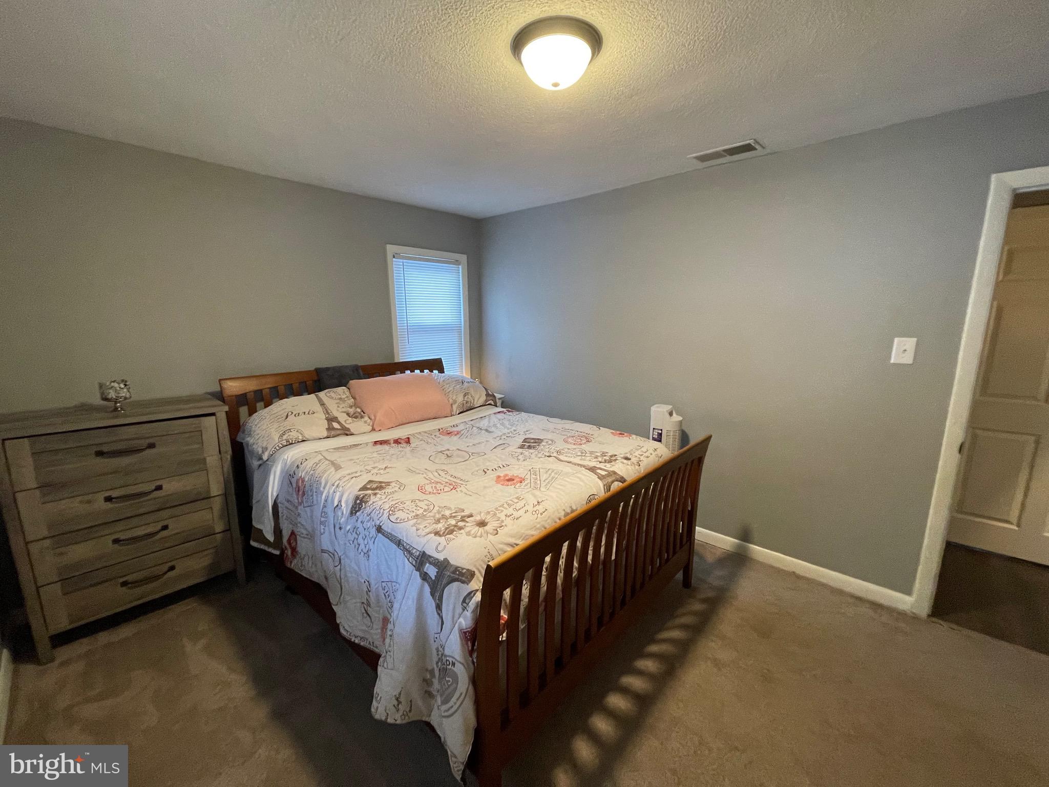 1410 Fleming Park Road Mount Jackson, VA 22842 - Photo 5 of 28