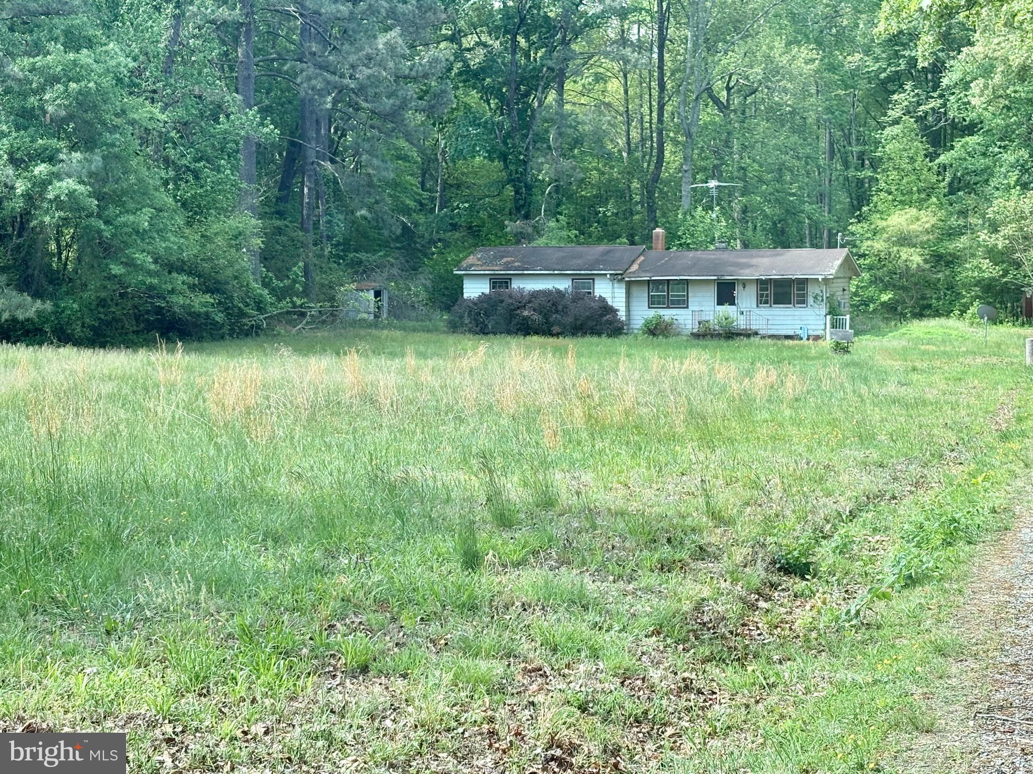 17194 New Baltimore Road Milford, VA 22514 - Photo 4 of 4