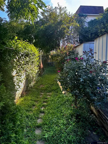a view of a garden with plants and large trees