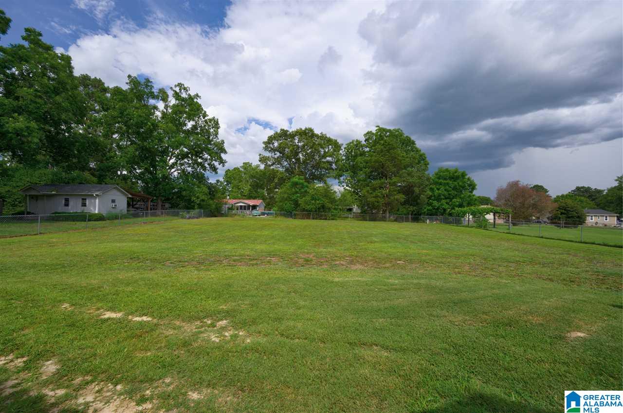 708 Hilltop Road Warrior, AL 35180 - Photo 20 of 22