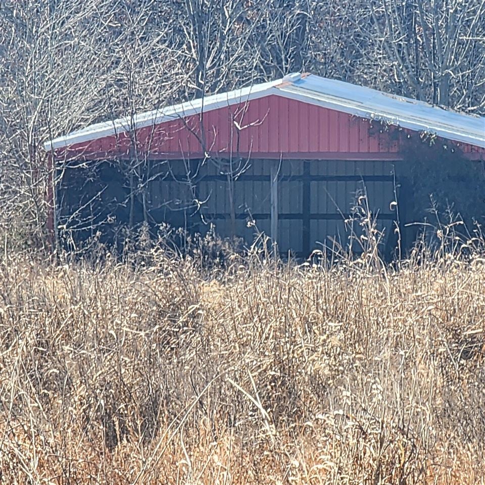 0 Charlie Butts Road Franklin, KY 42134 - Photo 3 of 6 Gallery Image 3