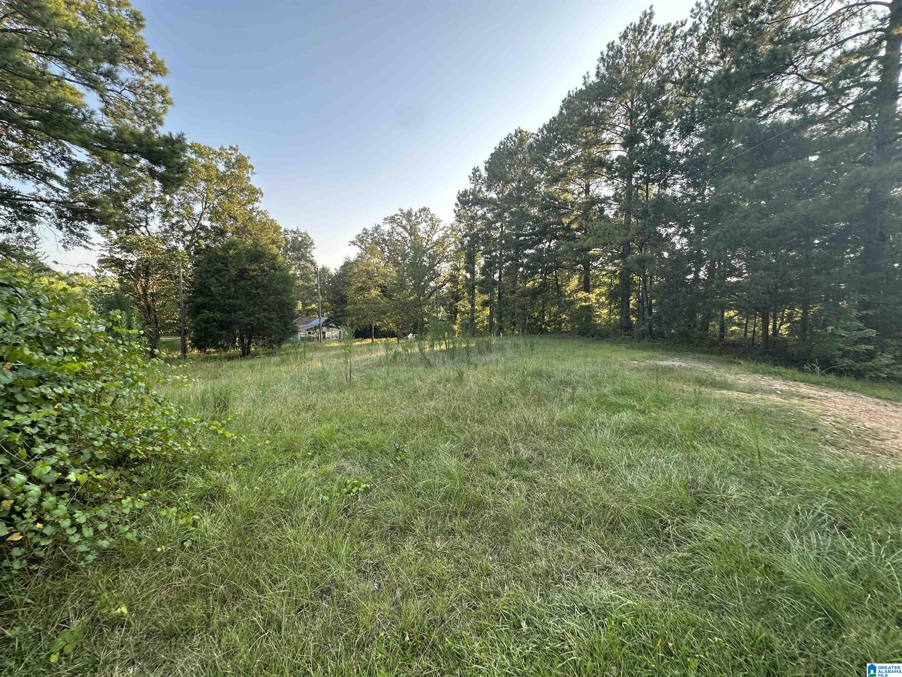 0 Honeycut Road Randolph, AL 36792 - Photo 27 of 29
