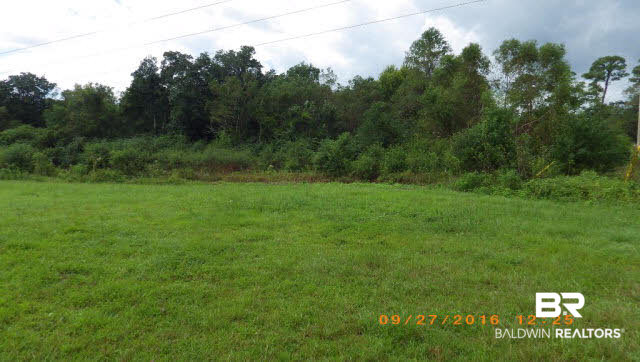 16910 Highway 98 Foley, AL 36535 - Photo 4 of 13