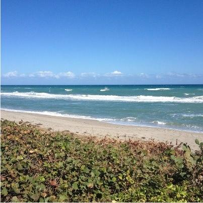 122 Via Castilla Jupiter, FL 33458 - Photo 39 of 40 Jupiter / Juno Beaches