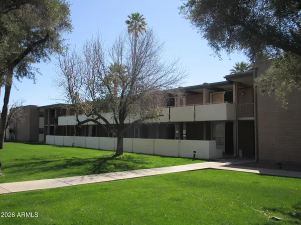 a view of a back yard