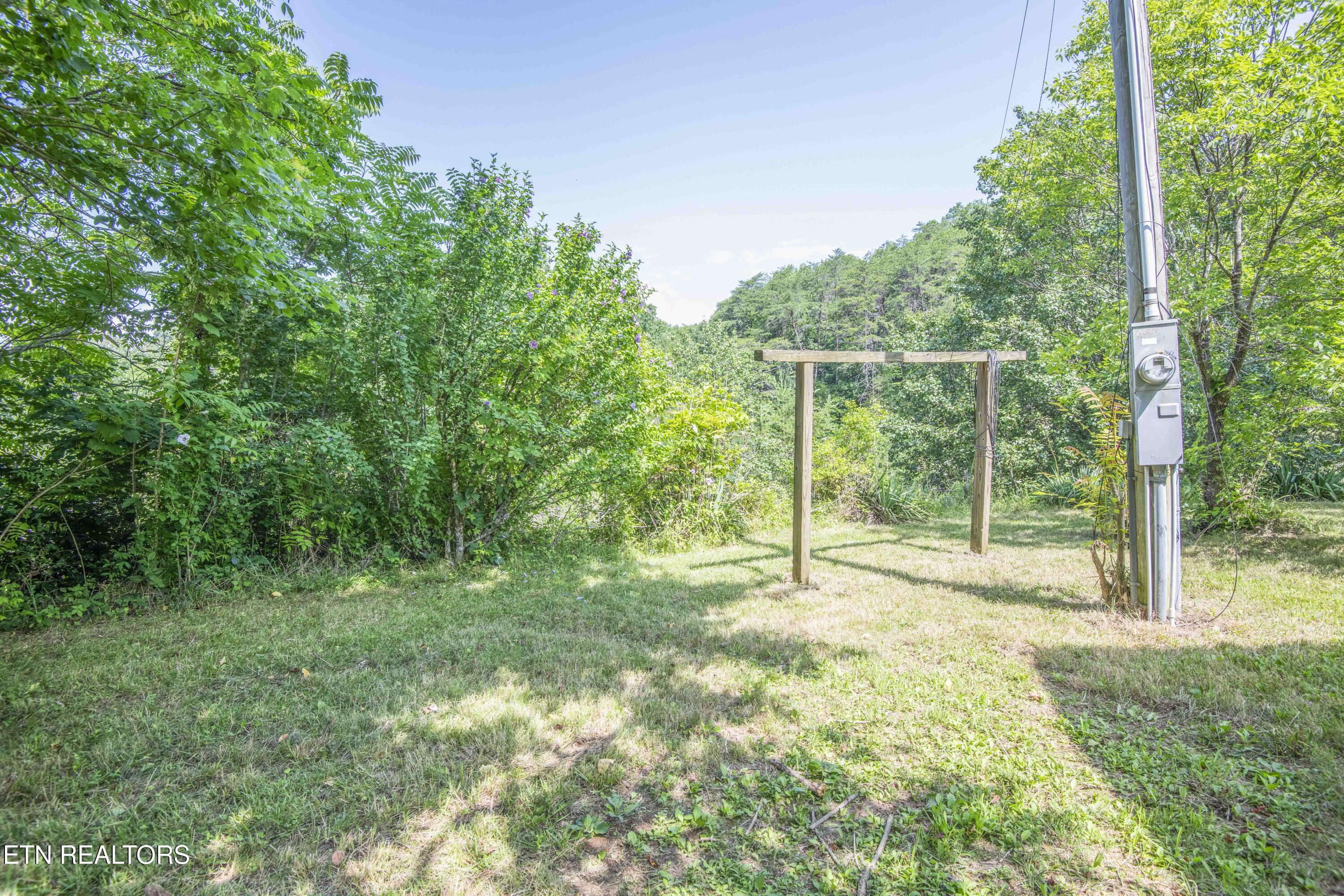 1587 Lower Caney Valley Road Tazewell, TN 37879 - Photo 27 of 42 yard 5_1