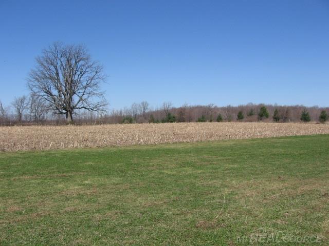 8595 Gibbons Road Jeddo, MI 48032 - Photo 40 of 43 31240761-39.JPG