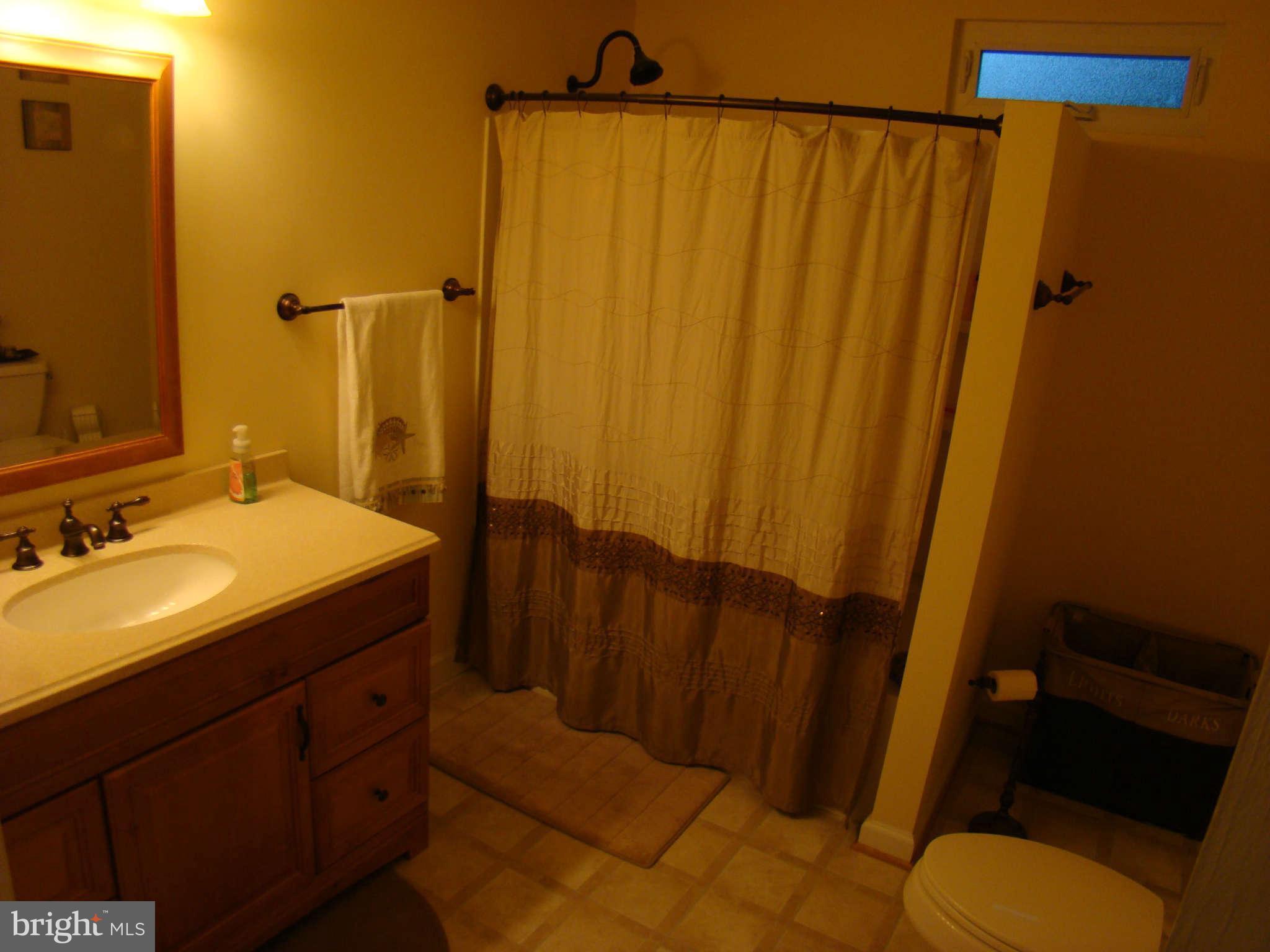 38674 Morris Point Road Abell, MD 20606 - Photo 10 of 12 Renovated Large Bathroom