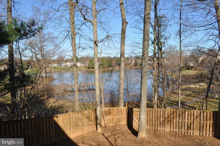 9328 Raintree Road Burke, VA 22015 - Photo 3 of 13 Back yard