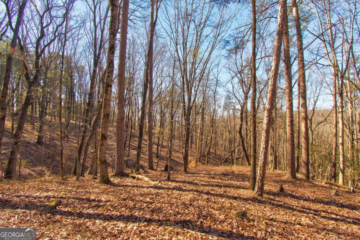 500 Chapman Ridge Lane Murrayville, GA 30564 - Photo 11 of 14 a view of a backyard of the house