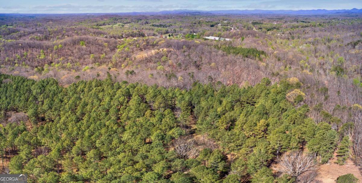 500 Chapman Ridge Lane Murrayville, GA 30564 - Photo 14 of 14 an aerial view of forest