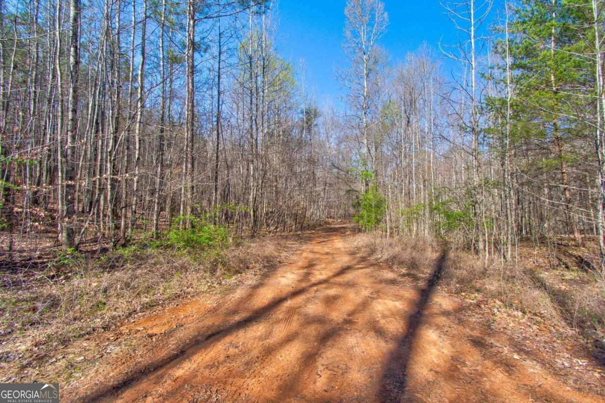 500 Chapman Ridge Lane Murrayville, GA 30564 - Photo 3 of 14 a backyard of a house with lots of green space