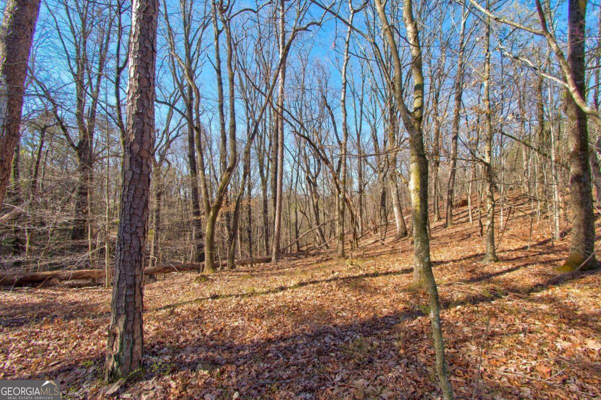 500 Chapman Ridge Lane Murrayville, GA 30564 - Photo 6 of 14 a view of wooden fence