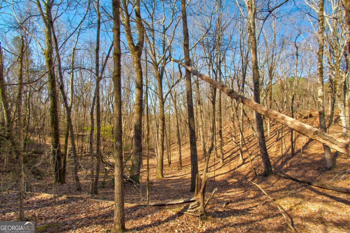 500 Chapman Ridge Lane Murrayville, GA 30564 - Photo 7 of 14 a backyard of a house with lots of green space