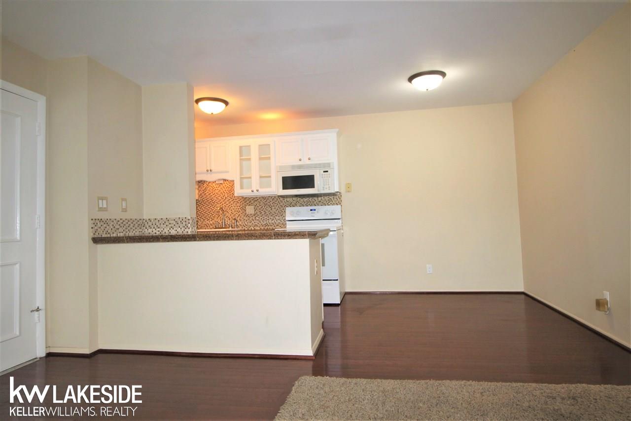 810 Plate Street, Unit #202 Rochester, MI 48307 - Photo 5 of 12