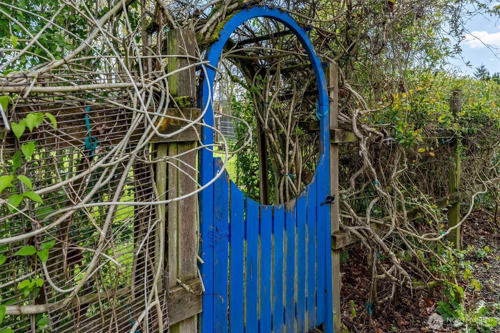 3302 Pine Street Longview, WA 98632 - Photo 23 of 40