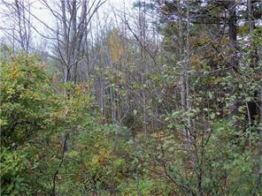 Lot 32 Marston Road Richmond, ME 04357 - Photo 1 of 1 Photo